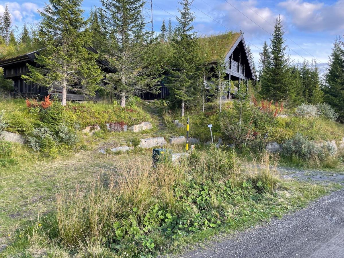 Ski&bike-in&out Hafjell Eksteriør billede